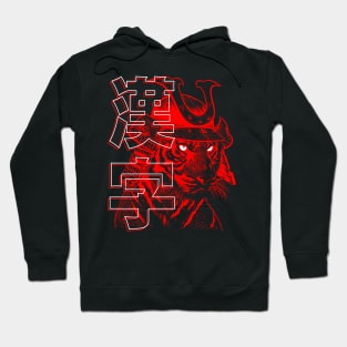 Samurai Tiger Kanji Hoodie